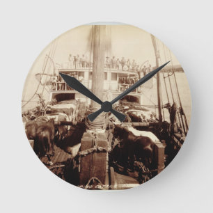 Shipping Cattle on the 'W.G. Hall', Hawaii, 1890s Round Clock
