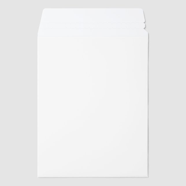 Shipping Envelope Mailer (Front)
