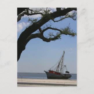 Ships Ahoy Post Card