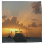 Ships and Sunset Tropical Seascape Napkin
