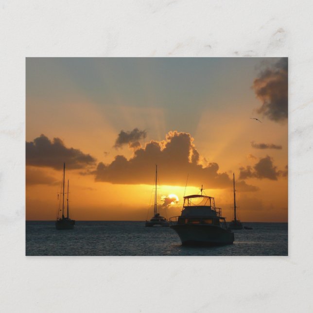 Ships and Sunset Tropical Seascape Postcard (Front)
