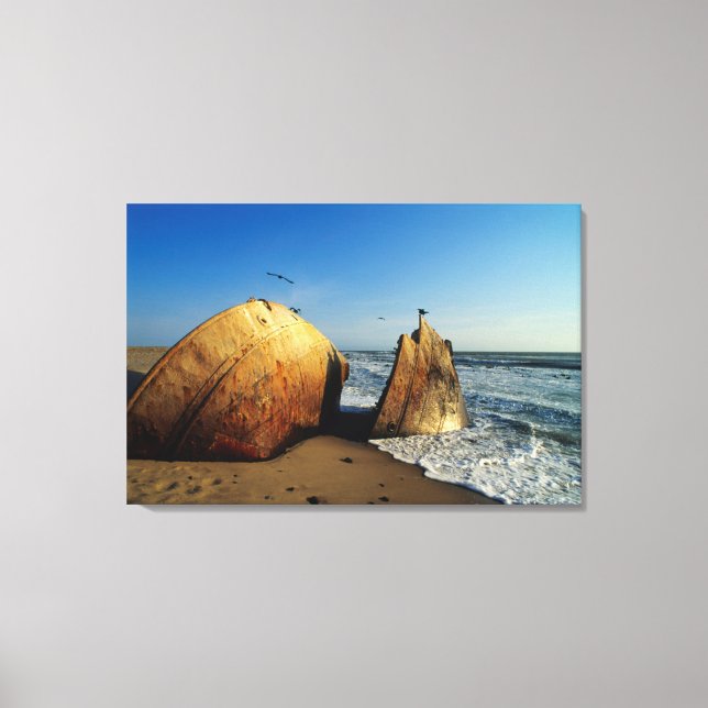 Shipwreck On Beach, Skeleton Coast, Namibia Canvas Print (Front)