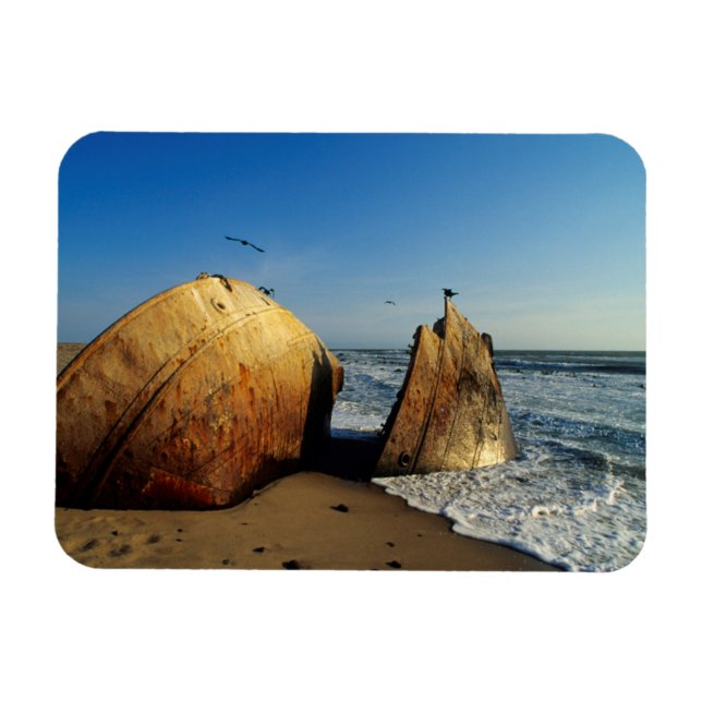 Shipwreck On Beach, Skeleton Coast, Namibia Magnet (Horizontal)
