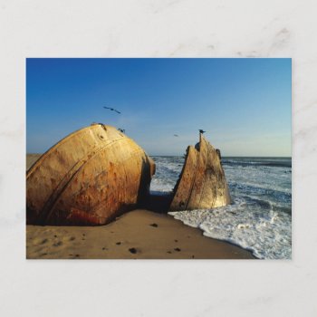 Shipwreck On Beach  Skeleton Coast  Namibia Postcard by tothebeach at Zazzle