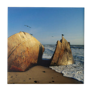 Shipwreck On Beach, Skeleton Coast, Namibia Tile