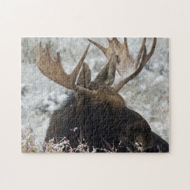 Shiras Bull Moose Jigsaw Puzzle (Horizontal)