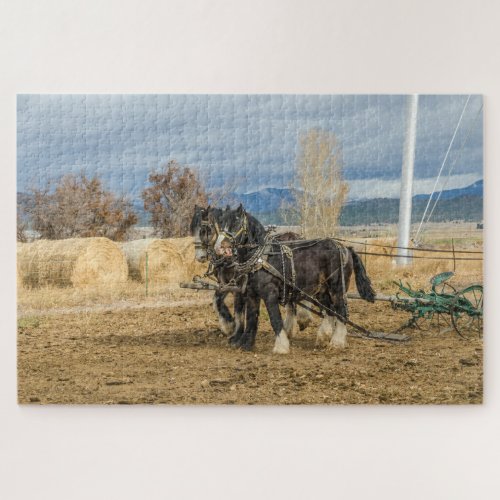 Shire Horses and Plow _ 1014 piece Jigsaw Puzzle