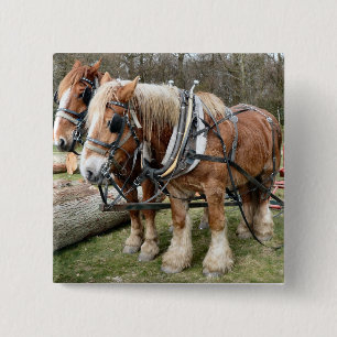 Shire Horses Button