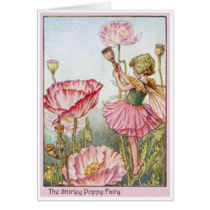 Shirley Poppy Fairy Cards