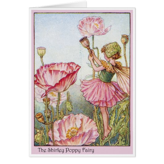 Shirley Poppy Fairy Cards (Front)