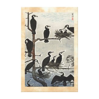 Shiro Kasamatsu Gathering of Cormorants ukiyo-e Canvas Print