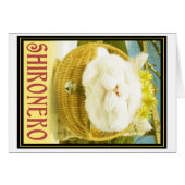 Shironeko or Basket Cat (Front Horizontal)