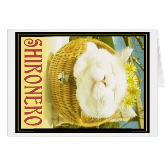Shironeko or Basket Cat Cards (Front Horizontal)