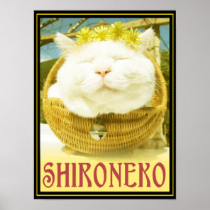 Shironeko or Basket Cat Poster
