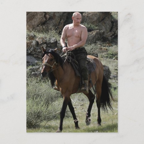 Shirtless Putin Rides a Horse Postcard