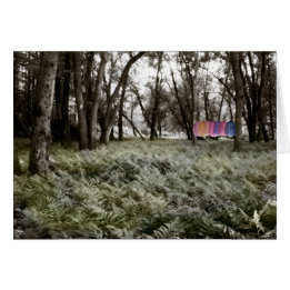 Shirts in a Floodplain Forest Card