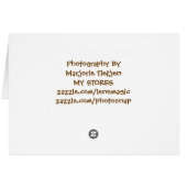 Shiver Me Timbers You're 70 Birthday (Back Horizontal)