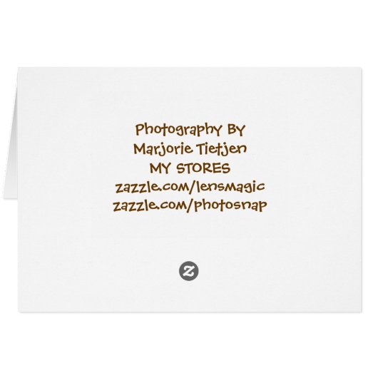 Shiver Me Timbers You're 70 Birthday (Back Horizontal)