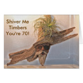 Shiver Me Timbers You're 70 Birthday (Front Horizontal)