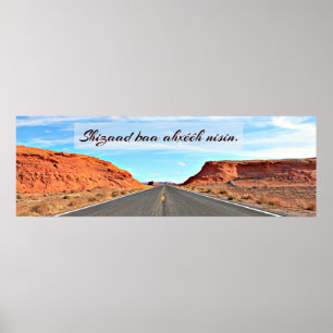 Shizaad baa ahééh nisin. I respect my language. Poster