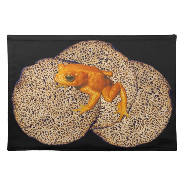 Shmurah Matzah & Frog / Tzfardea Placemat (Front)