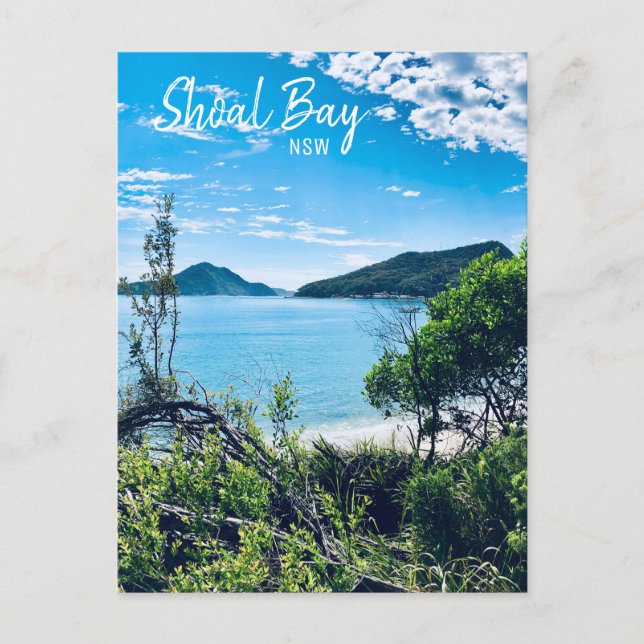 Shoal Bay Port Stephens NSW Postcard (Front)