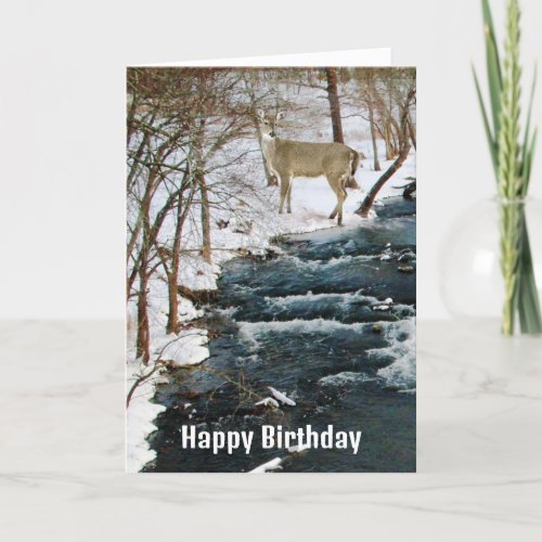 Shoal Creek in Winter with Deer Mens Birthday  Card