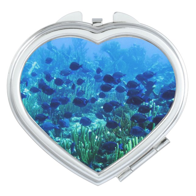 Shoal of Blue Discus Fish Makeup Mirror (Front)