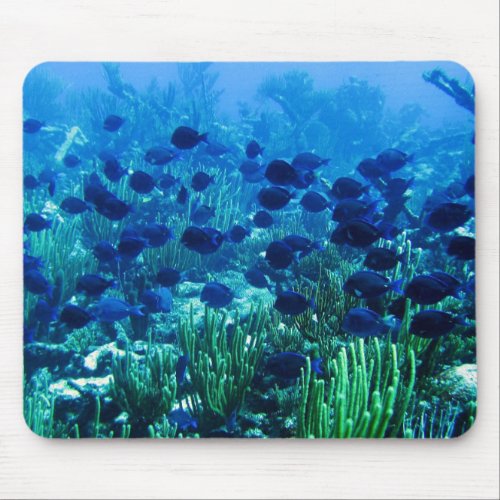 Shoal of Blue Discus Fish Mouse Pad