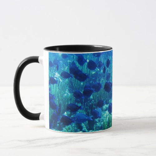 Shoal of Blue Discus Fish Mug