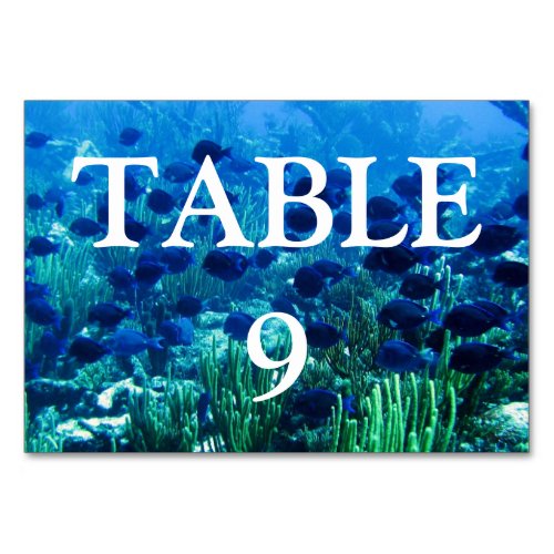 Shoal of Blue Discus Fish Table Number