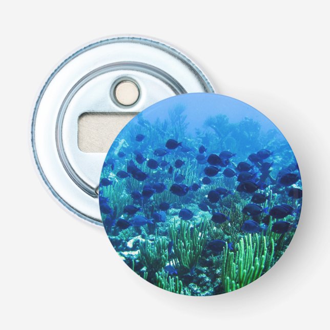 Shoal of Blue Discus Fish Underwater Photo Bottle Opener (Front)