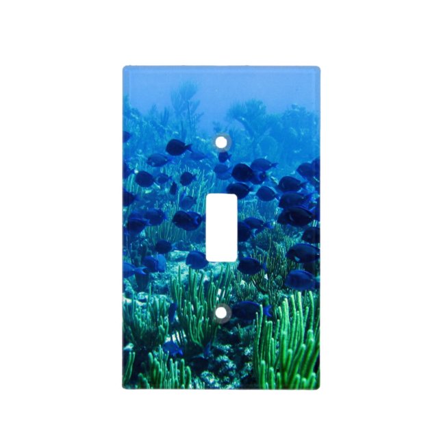 Shoal of Blue Discus Fish Underwater Scene Light Switch Cover (Front)