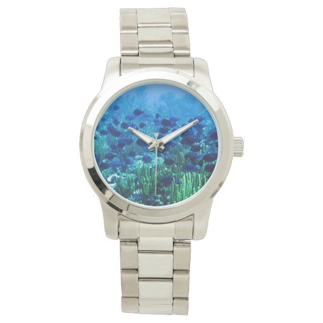 Shoal of Blue Discus Fish Underwater Watch (Front)