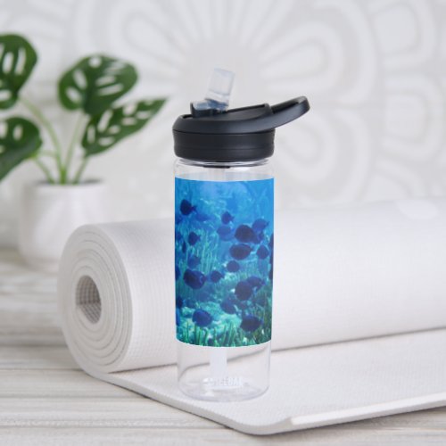 Shoal of Blue Discus Fish Water Bottle