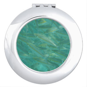 Shoal of Fish Underwater Photo Compact Mirror