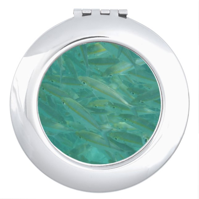 Shoal of Fish Underwater Photo Compact Mirror (Front)