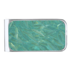 Shoal of Fish Underwater Photo Silver Finish Money Clip
