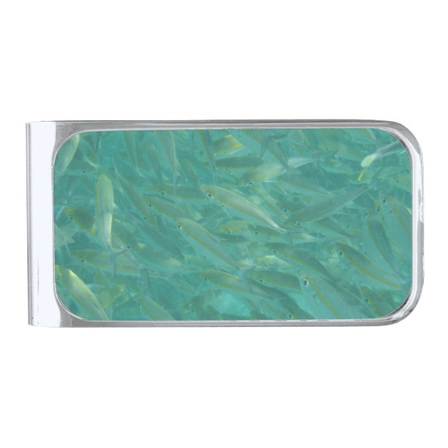 Shoal of Fish Underwater Photo Silver Finish Money Clip (Front)