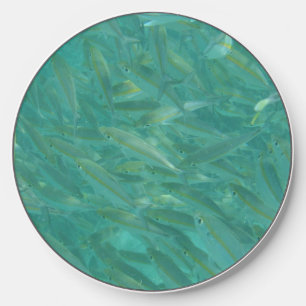 Shoal of Fish Underwater Photo Wireless Charger
