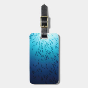 Shoal of fishes luggage tag