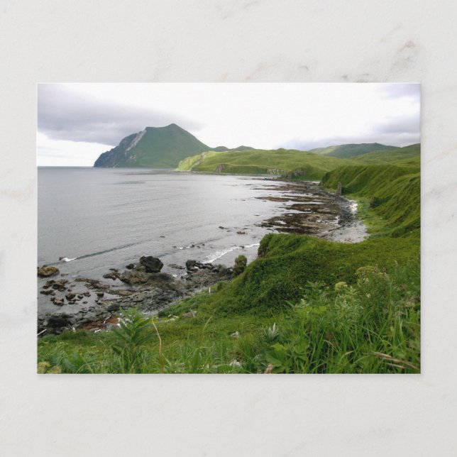 Shoals north of Summer's Bay, Unalaska Island Postcard (Front)