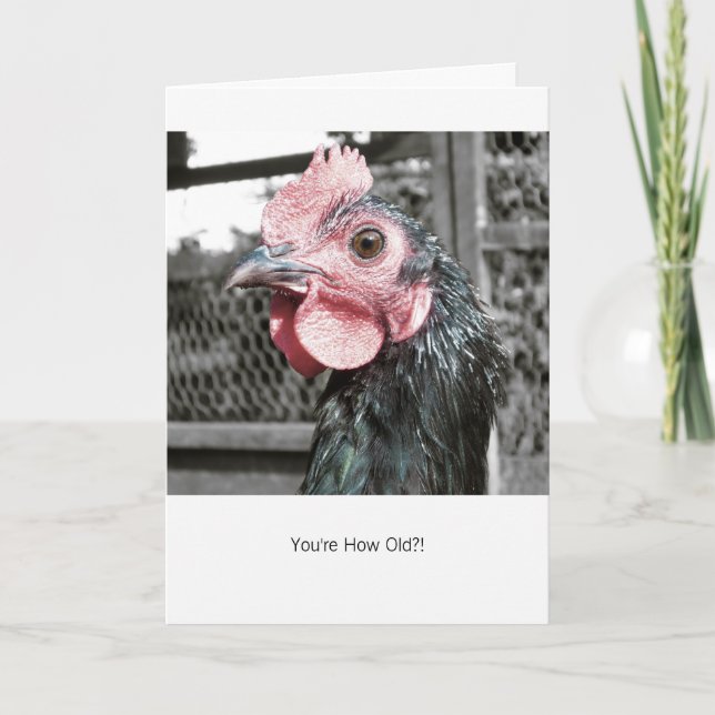 Shocked Chicken - Funny Hen Birthday Card (Front)