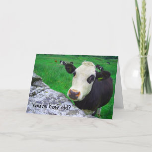 Shocked Cow Card