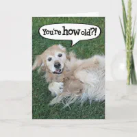 What Do You Meme?® Greeting Card - Birthday Card (Shocked Squirrel