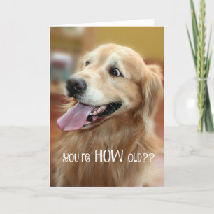 Shocked Golden Retriever You're How Old Birthday Card