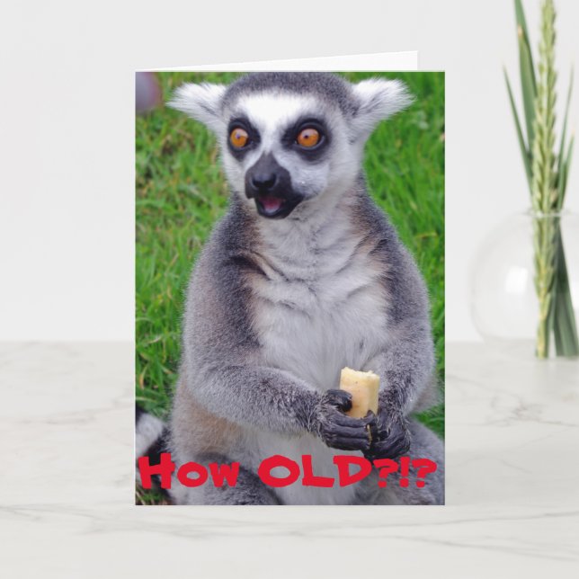 Shocked Lemur Birthday Card (Front)