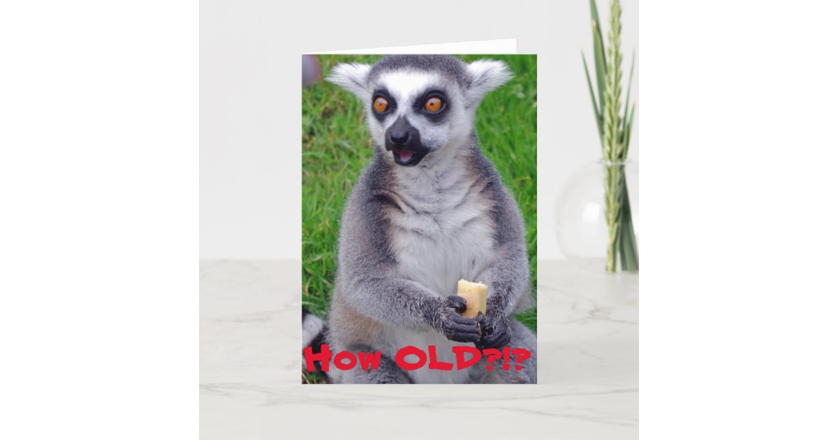 Shocked Lemur Birthday Card | Zazzle.com