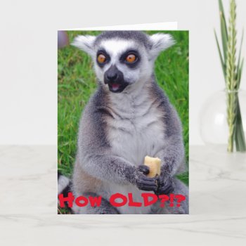 Shocked Lemur Birthday Card by Pictural at Zazzle