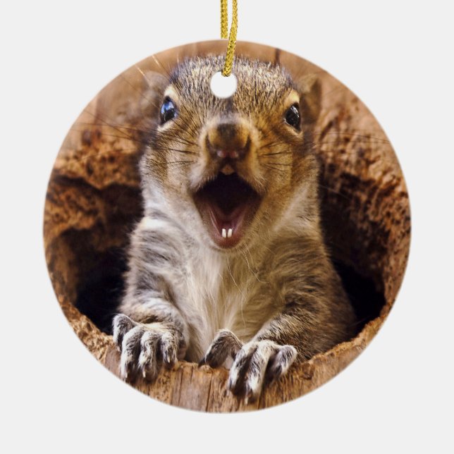 Shocked Squirrel Ceramic Ornament (Front)